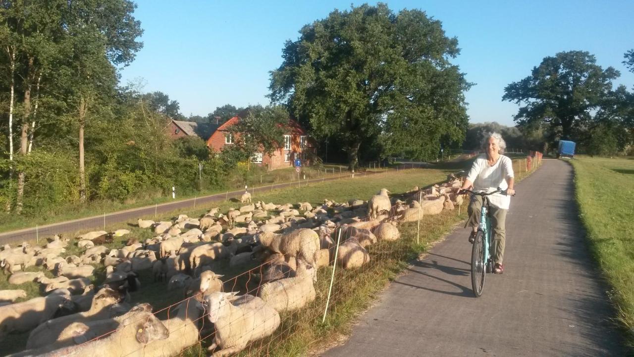 Schillers Stadthaus Hitzacker Kültér fotó